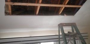 Removing and Replacement Of Ceiling Due To A Mold Infestation